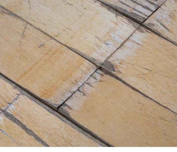 Water Damage on Wood Floor